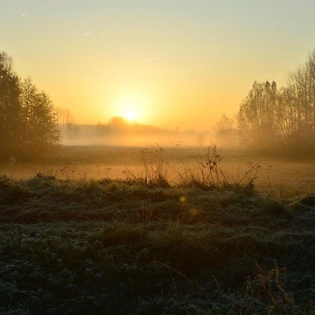 Willa 7Viridis Dendermonde Zewnętrze zdjęcie
