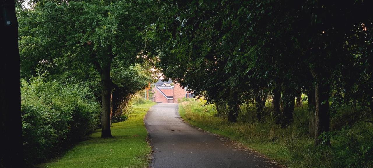 Willa 7Viridis Dendermonde Zewnętrze zdjęcie